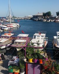 Boats moored in harbor