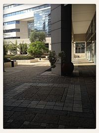 Buildings in city