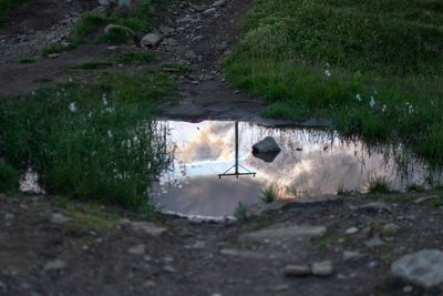 High angle view of birds on puddle