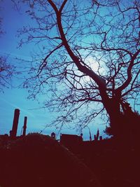 Low angle view of bare trees against sky