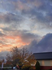 Low angle view of trees and buildings against sky during sunset