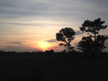 Silhouette trees on field against sky during sunset