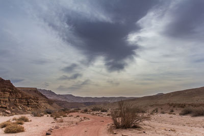Scenic view of desert against sky