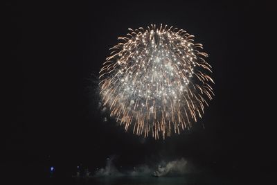 Low angle view of firework display at night