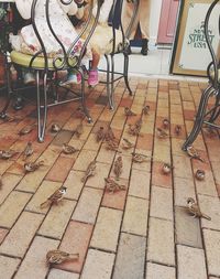 Low section of person with bicycle on chair