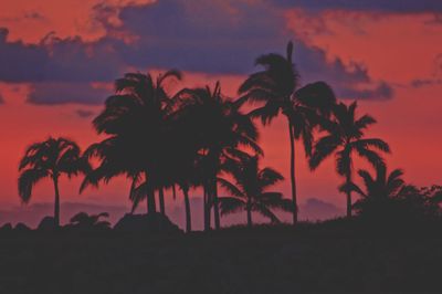 Silhouette palm trees against dramatic sky