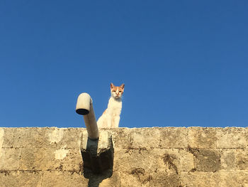 Rhodos on the roof