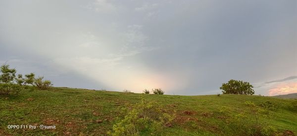 Scenic view of field against sky
