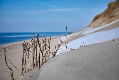 Scenic view of beach against sky