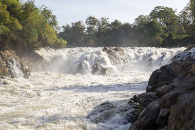 Scenic view of waterfall in forest