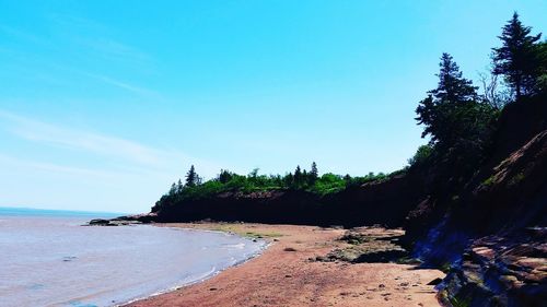 Scenic view of beach against blue sky