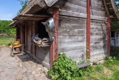 View of a horse in a building