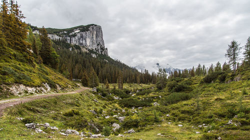 Scenic view of grassy landscape against cloudy sky