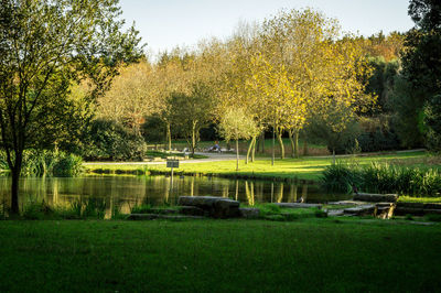 Scenic view of lake by trees against sky