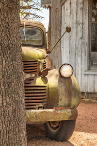 Old vintage car on tree trunk