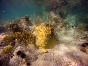 Rocks in sea