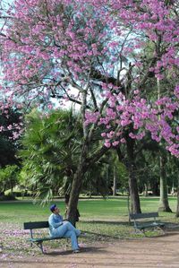 Woman sitting on tree in park