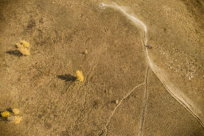 High angle view of sand on field