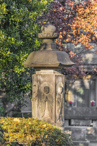 Flowering plants by trees in park during autumn