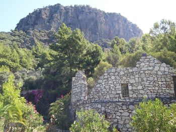 Trees growing on mountain against sky