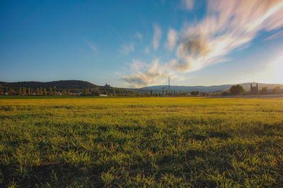 Scenic view of field against sky