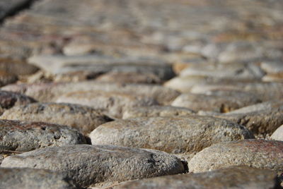 Full frame shot of pathway