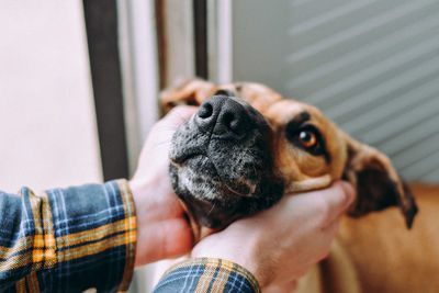 Close-up of woman with dog at home