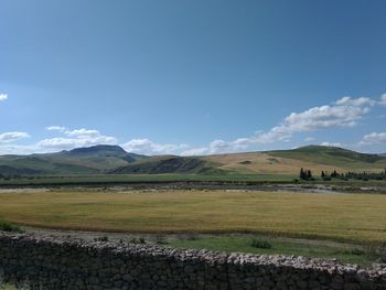 Scenic view of field against sky