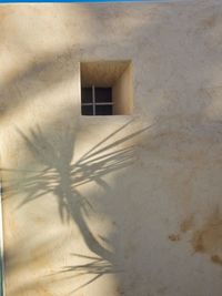 Low angle view of window of old building