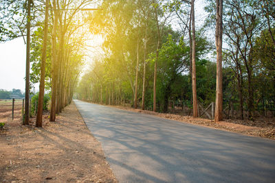 Road amidst trees in forest against sky