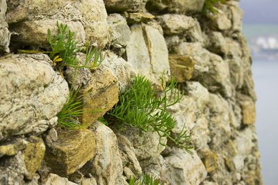 Close-up of rocks