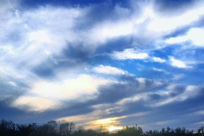 Low angle view of silhouette trees against sky