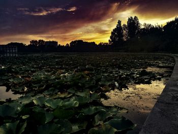 Scenic view of field against sky during sunset