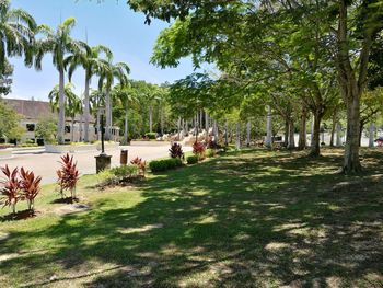 Chairs on palm trees in park against sky