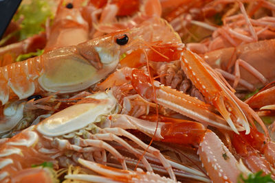 Full frame shot of prawns for sale