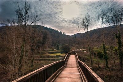 Footbridge amidst trees against sky