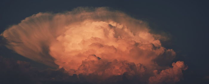 Low angle view of firework display against sky during sunset