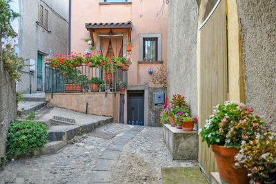 A narrow street of acri, an old village of calabria region in italy.
