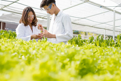 Rear view of woman standing in greenhouse