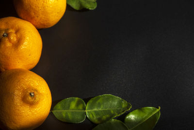 Close-up of oranges on table