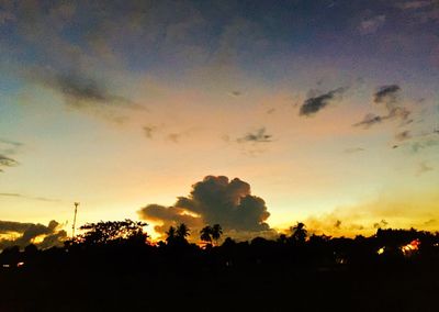 Low angle view of silhouette trees against sky during sunset