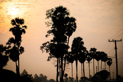 Silhouette palm trees against sky during sunset