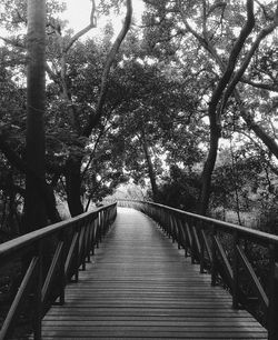 Low angle view of steps amidst trees against sky