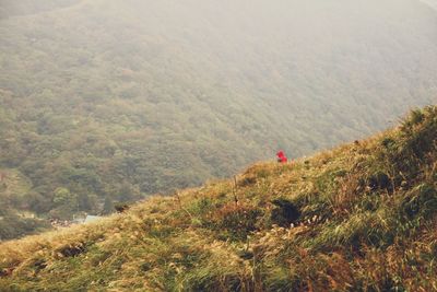 Scenic view of landscape against mountains