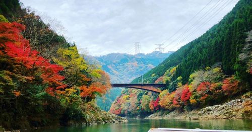 Bridge over river against sky during autumn
