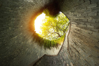 Sunlight falling on wall