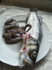 High angle view of fish in plate on table