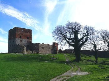 Castle by bare tree on field against sky