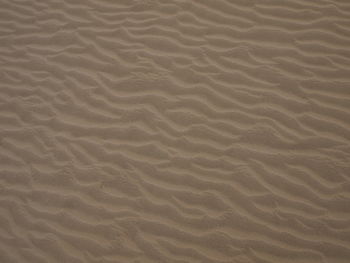 Full frame shot of sand dunes