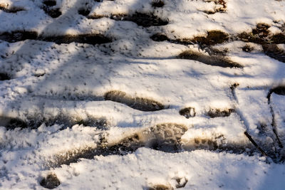 High angle view of snow covered land